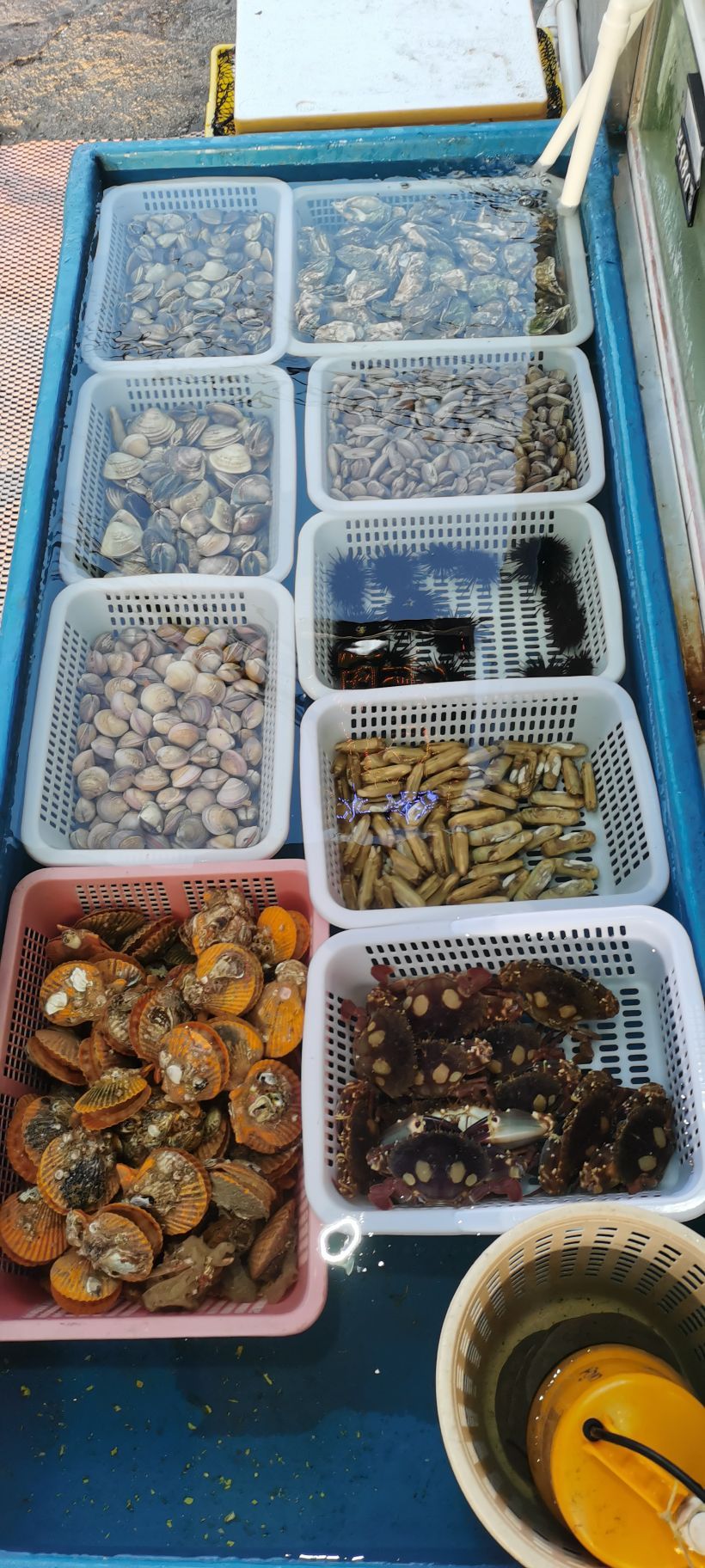 本港排档·360度观日落全海景(红海湾汕尾美食文化中心店)