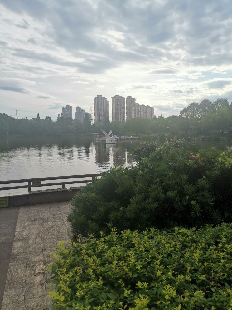 天鹅湖公园