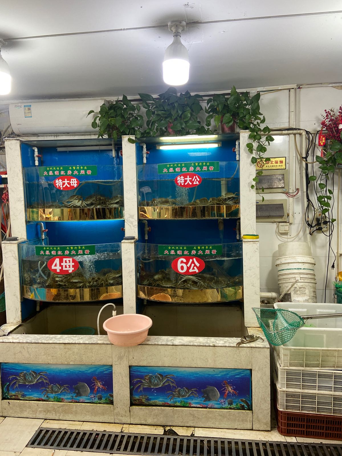 陈吉苏水产