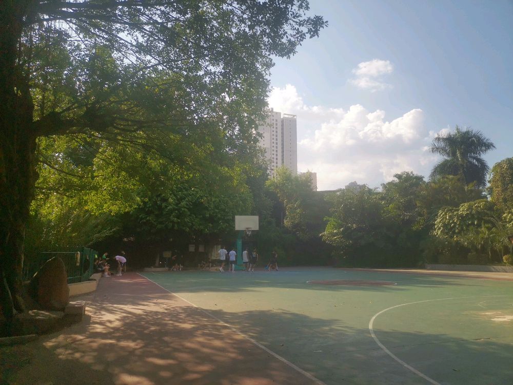南宁市新秀公园-篮球场