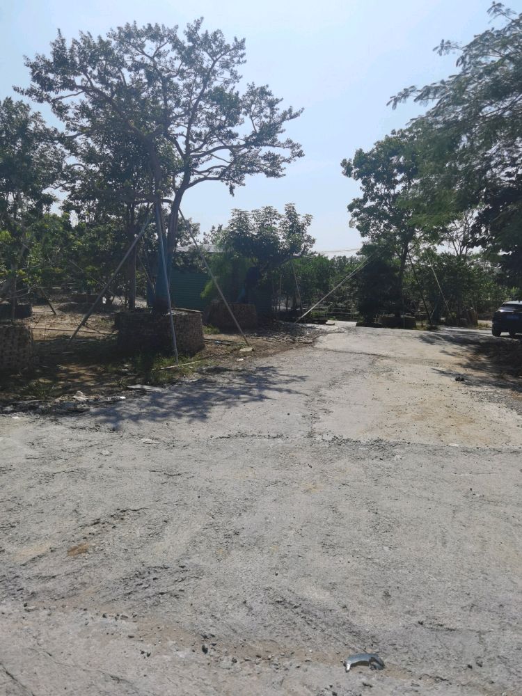 中山市聚兴花木(小榄场)