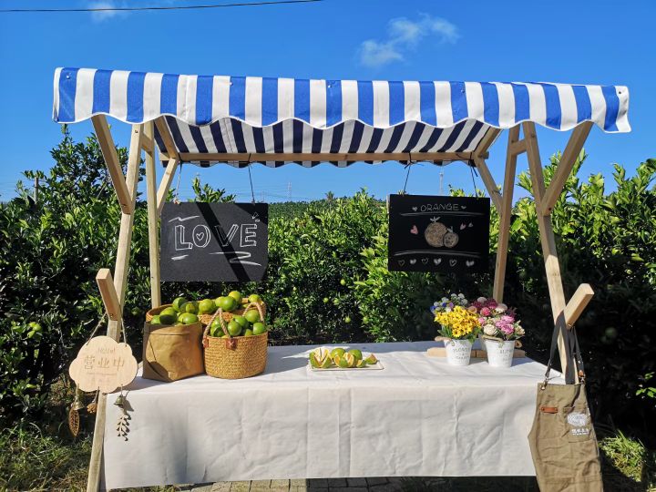 偲林福橙共享农庄