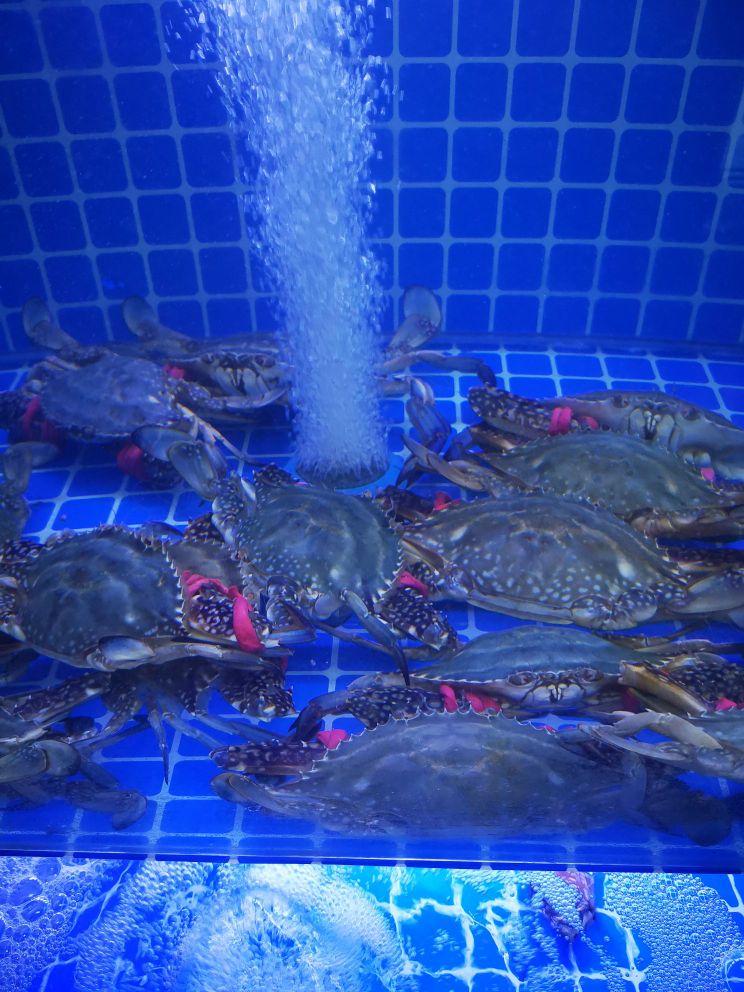江湳海鲜(恒大店)