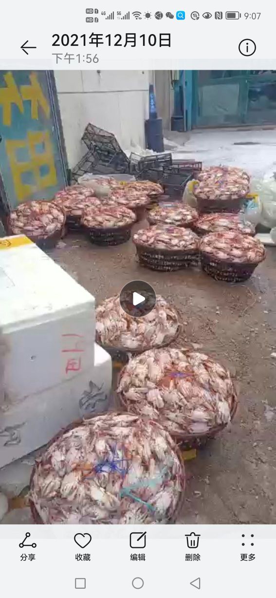 超富达海洋批发