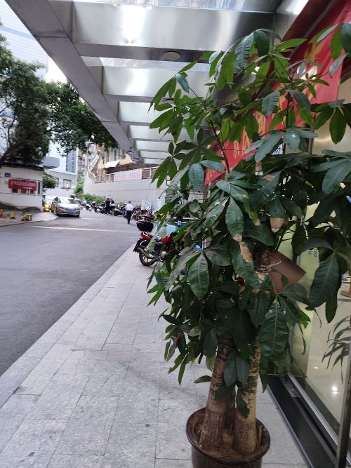 南平市延平医疗保障局