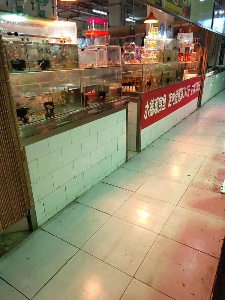 水德观赏鱼(花鸟鱼市)