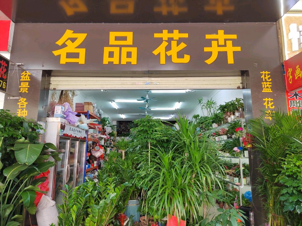 名品花卉