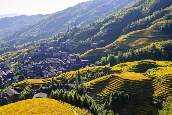 去龙脊梯田风景名胜区-平安寨梯田