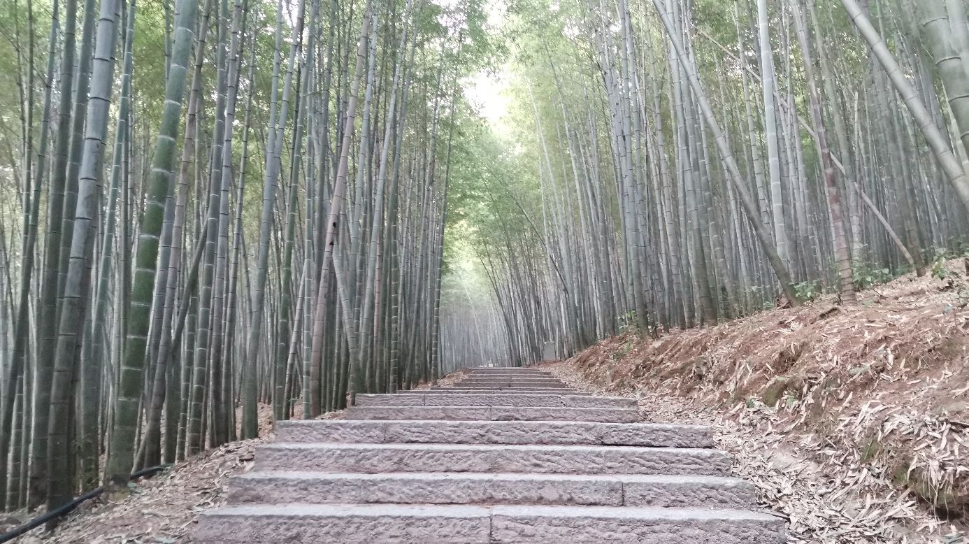 碧岩禅寺金典