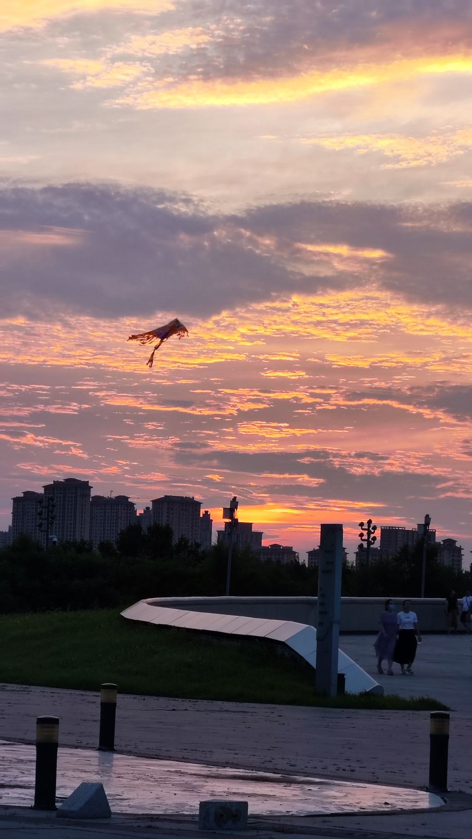 太阳岛花田