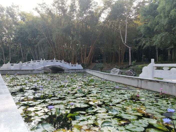 海南火莲花地质景区
