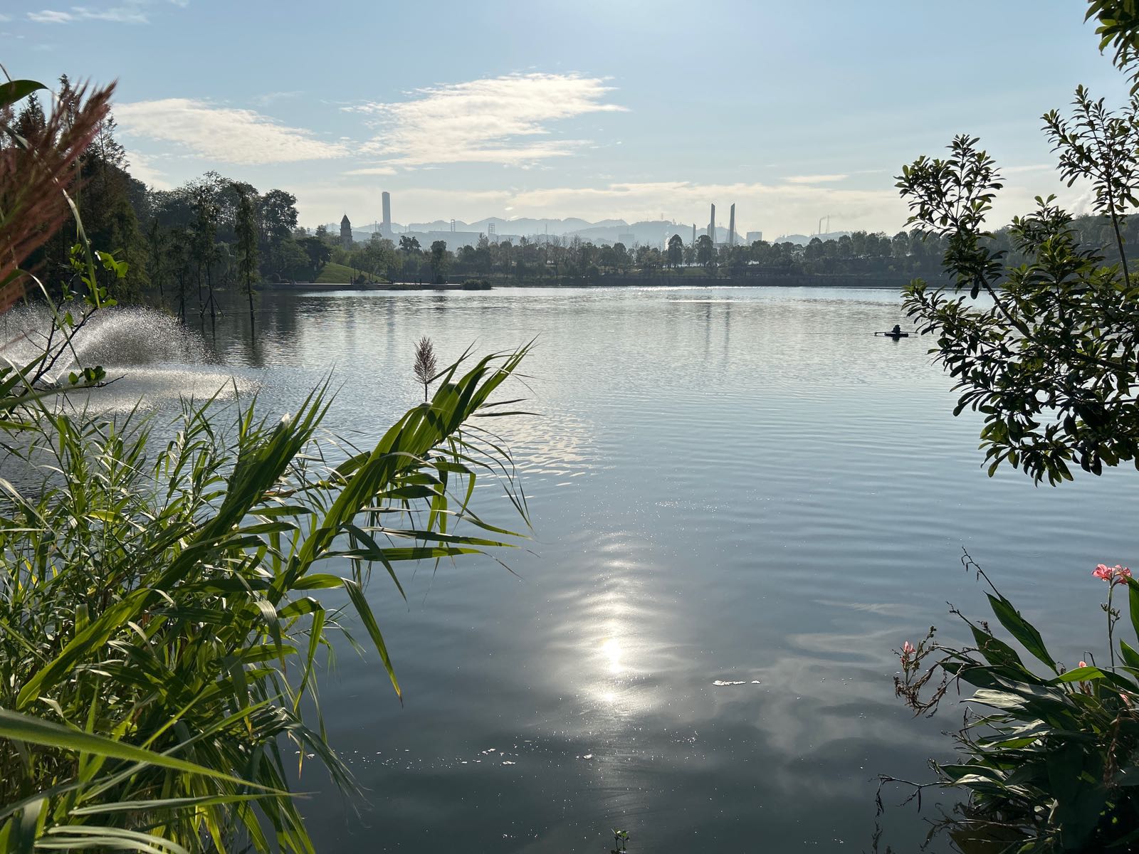 铜鼓湖湿地公园园