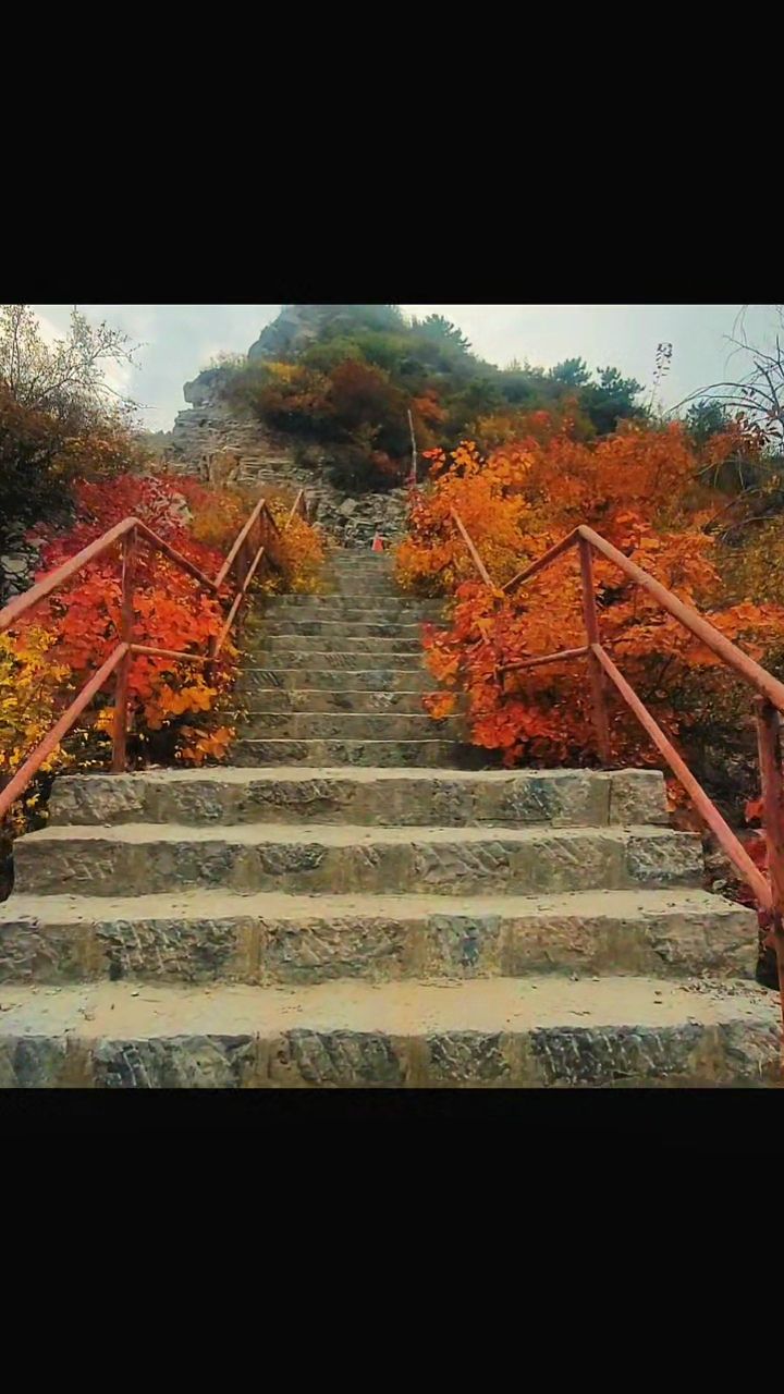 石遥寺