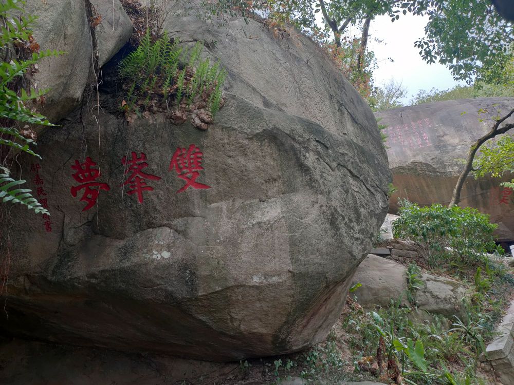 双蜂梦