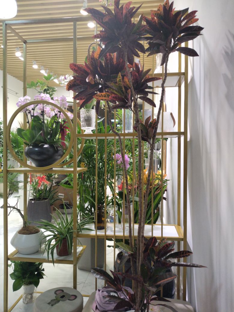 一路生花(北环城路店)