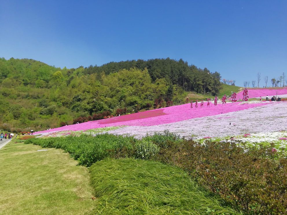 莲花山公园