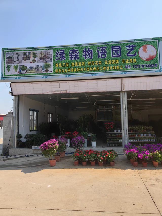 绿森物语园艺