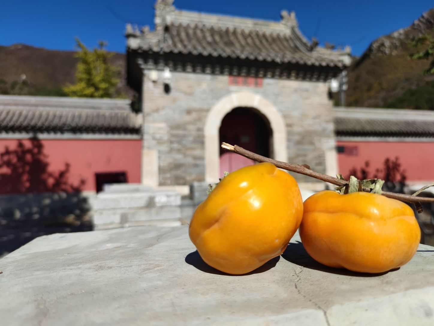 灵鹫禅寺