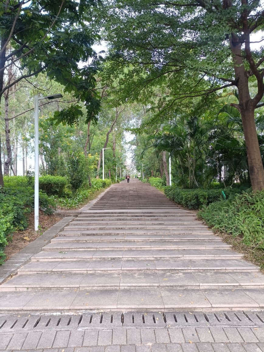 景岭公园
