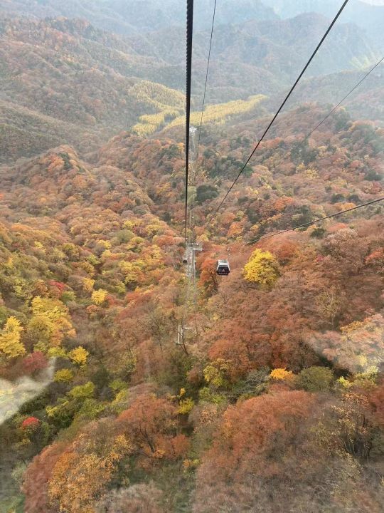 米仓山旅游景区-大坝森林公园