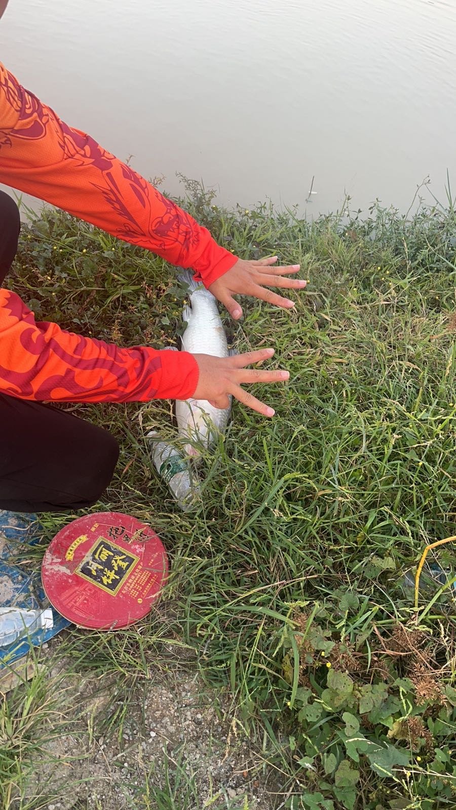 彭村湖大物休闲垂钓场