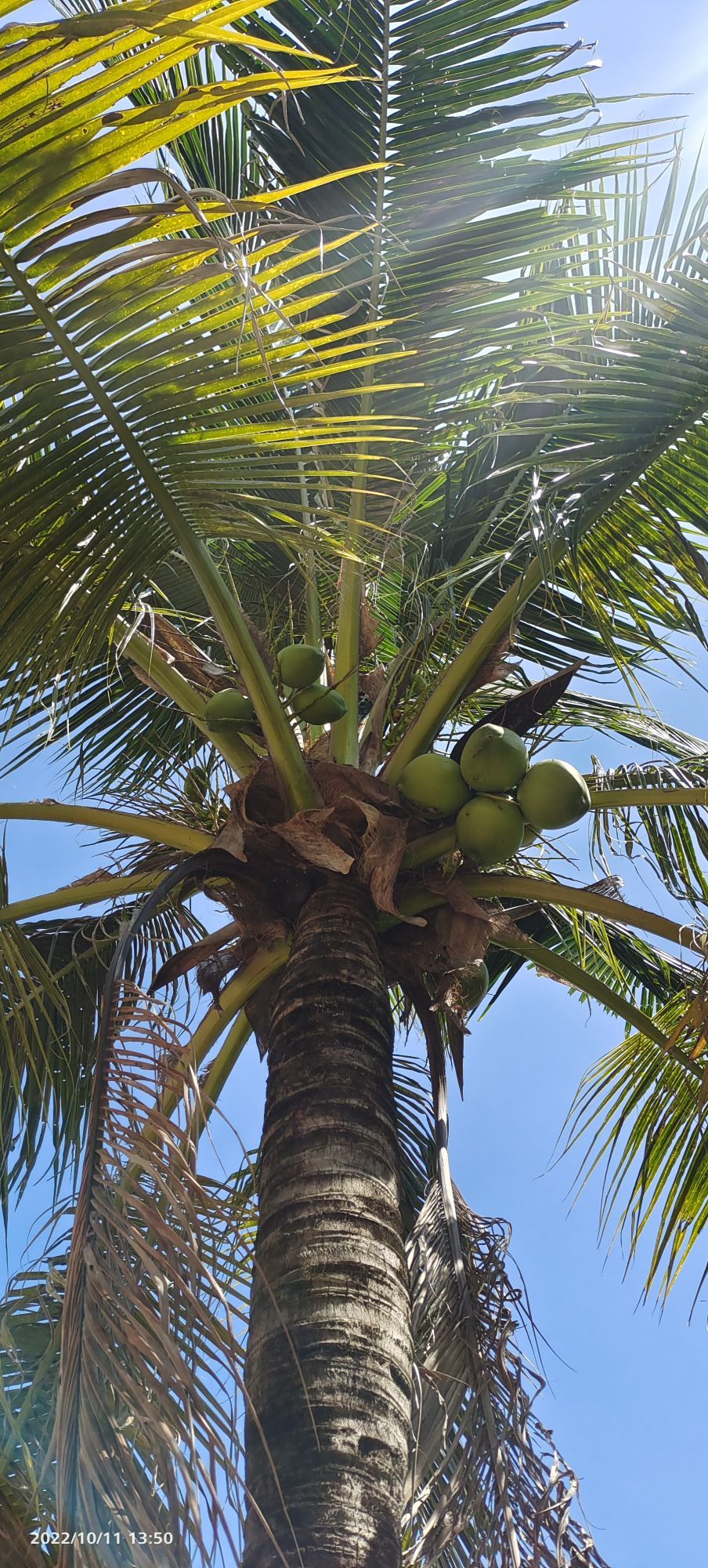 忠艳棋牌麻将馆