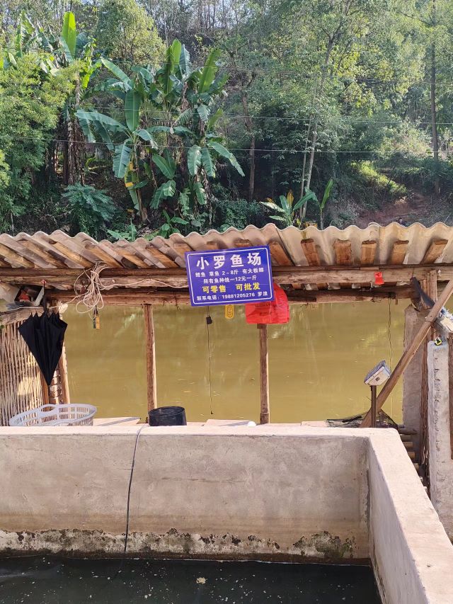 小罗鱼场