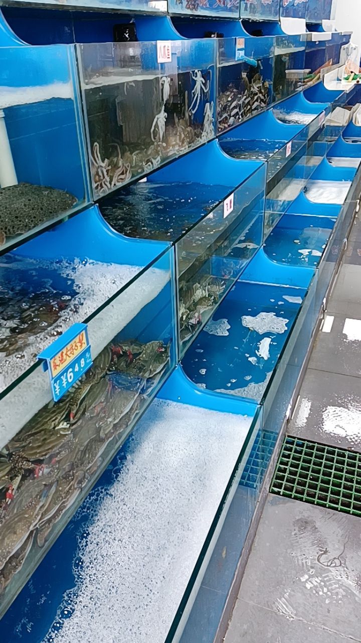 斌哥海洋批发(新村店)
