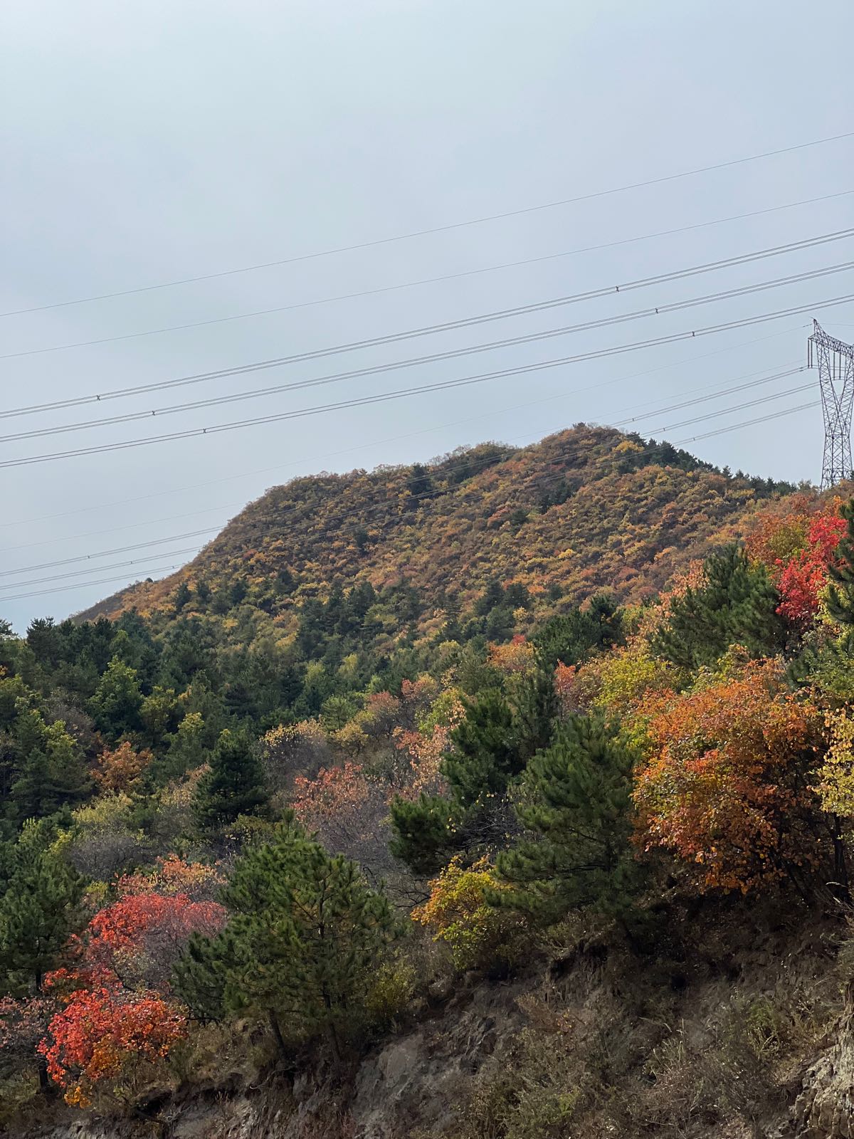 仓米古道