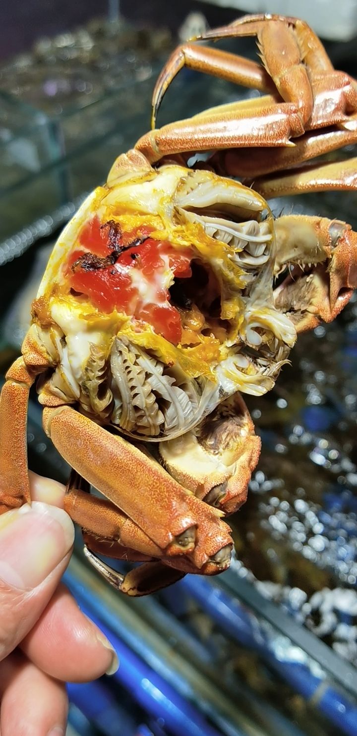 汇海海鲜