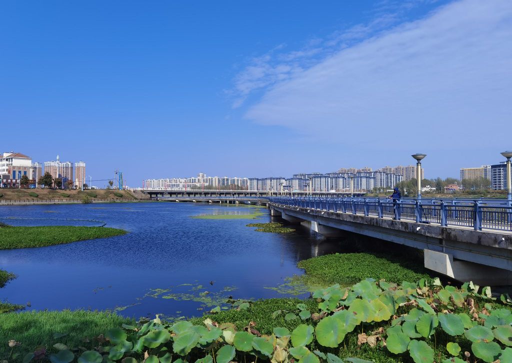 盛湾公园