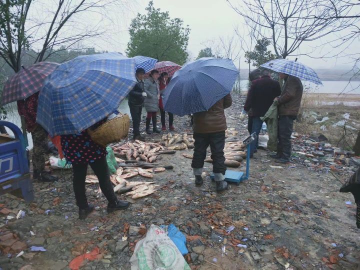 光山县禾润家庭农场