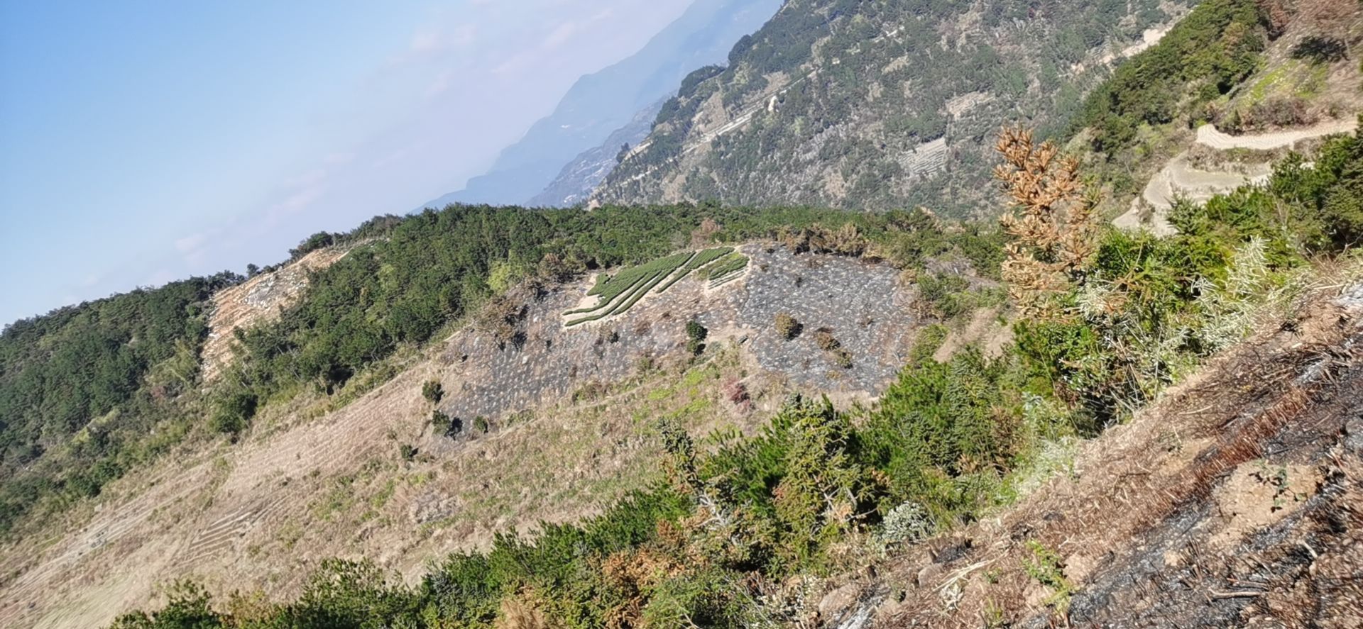 英山人民公社