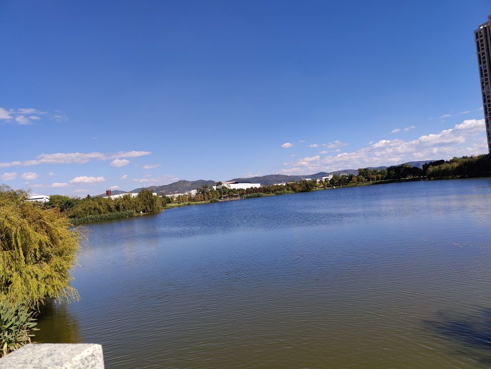 玉波湿地公园