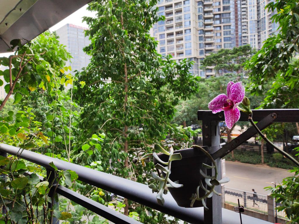 益田大运城邦-二期