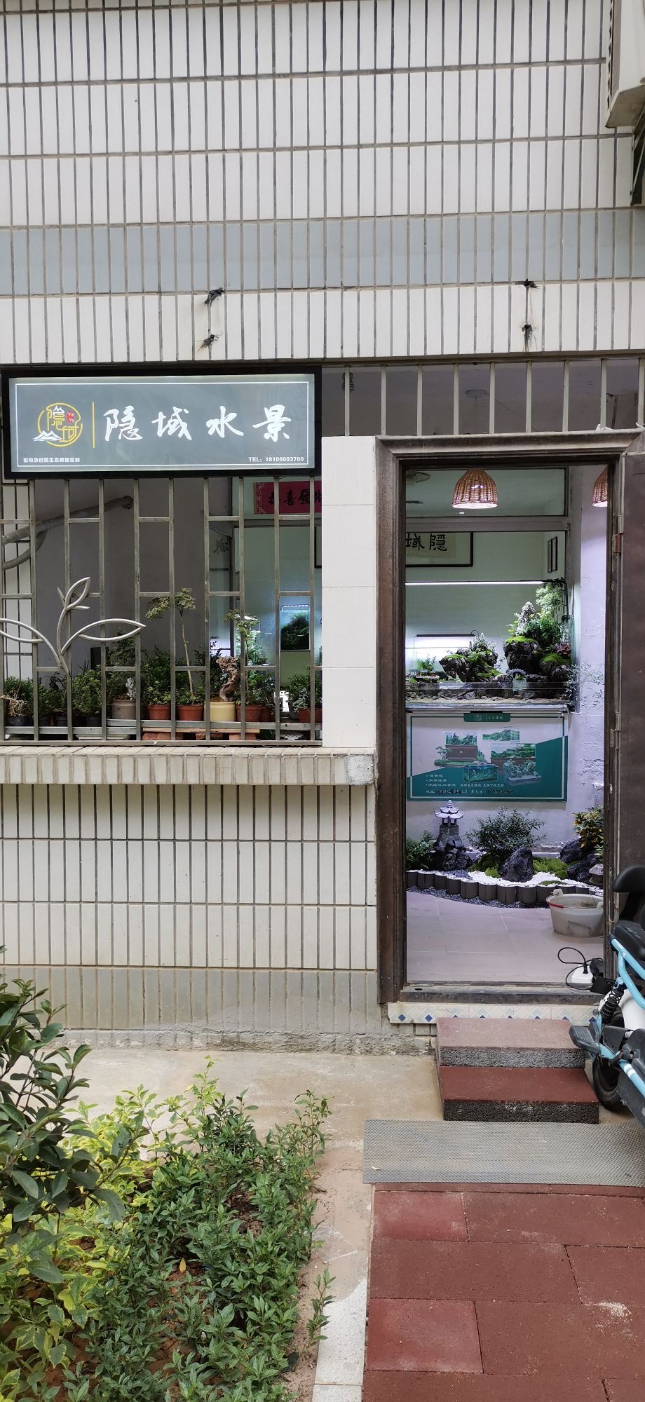 景域姬鲡隐水退