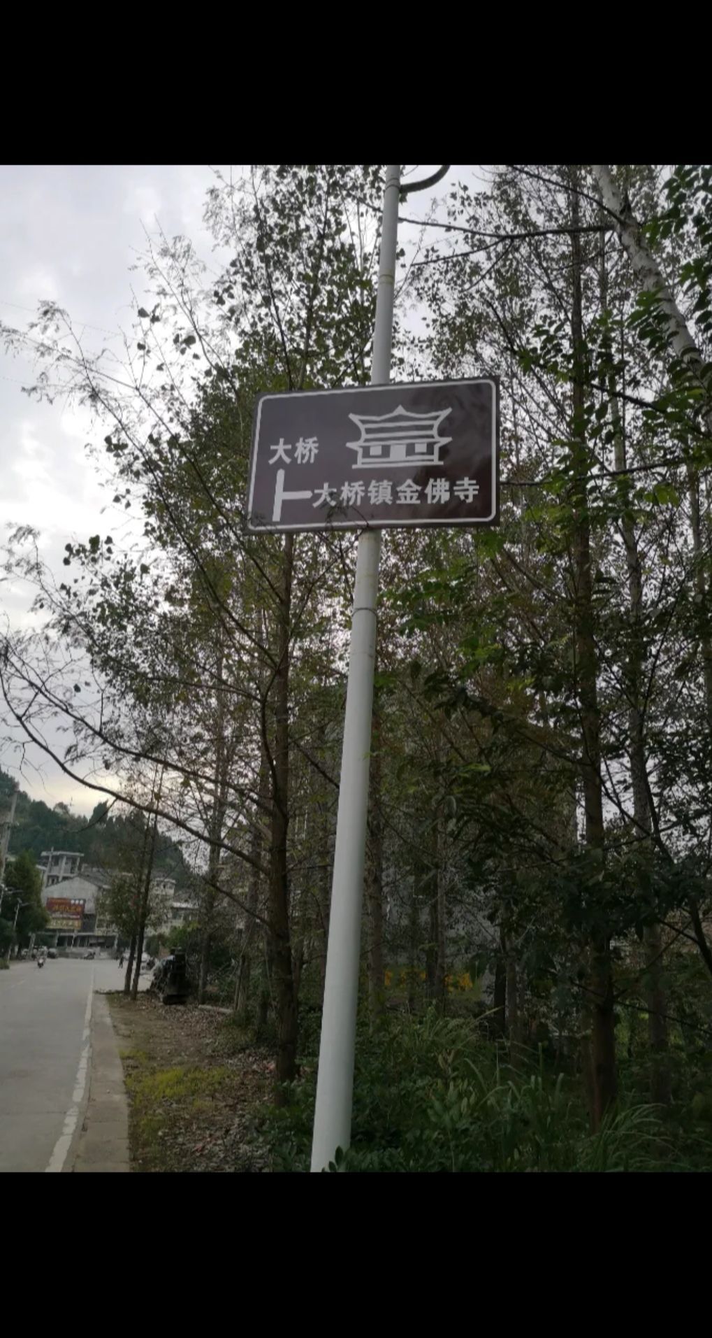 金贵寺