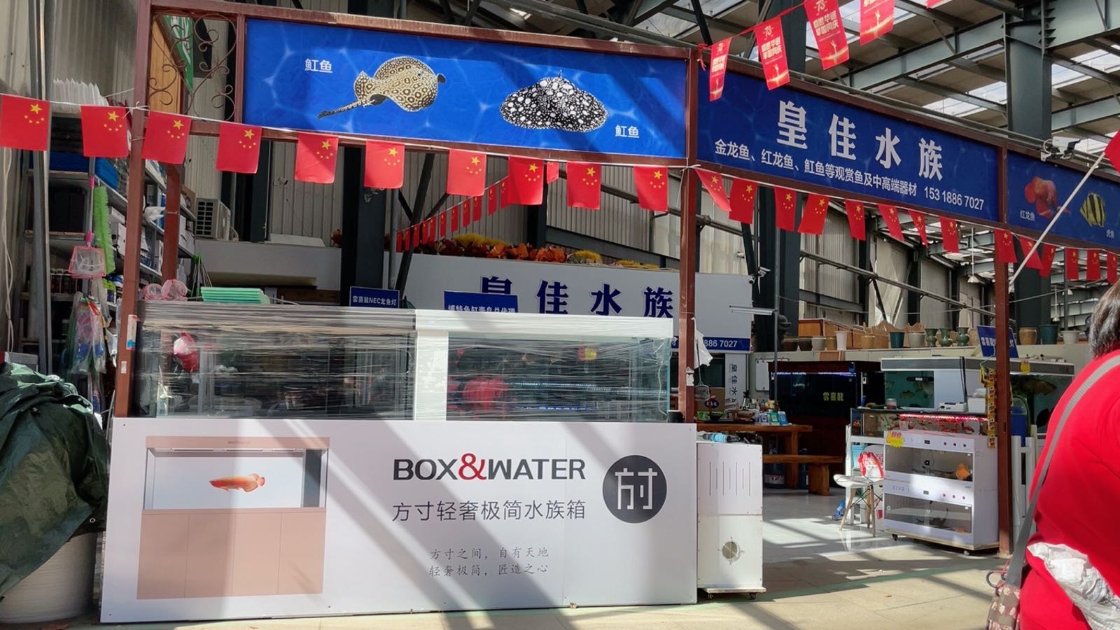 皇佳水族龙鱼店(博特鱼缸)