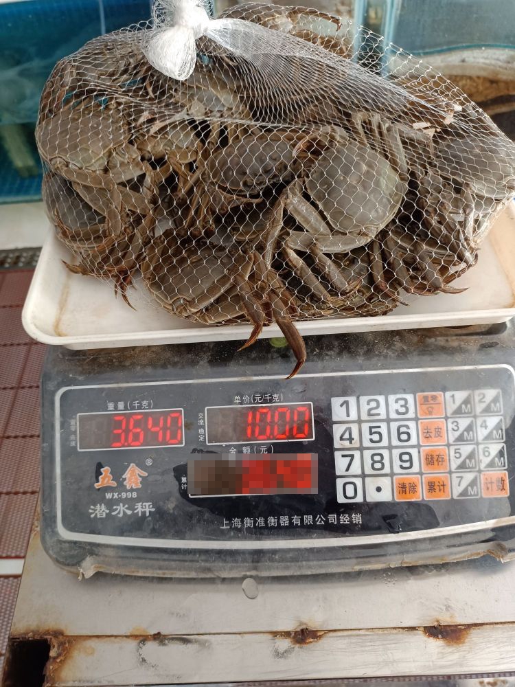 港城海鲜水产店