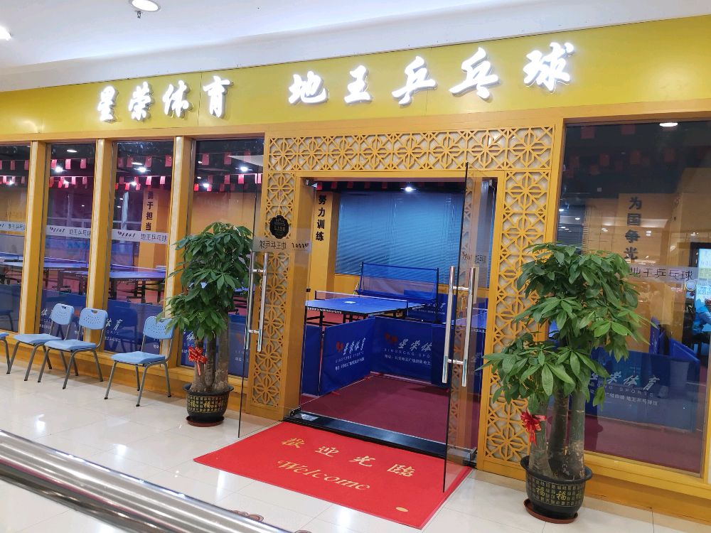 星荣体育地王乒乓球