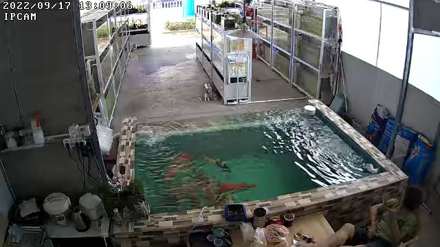 666水族店