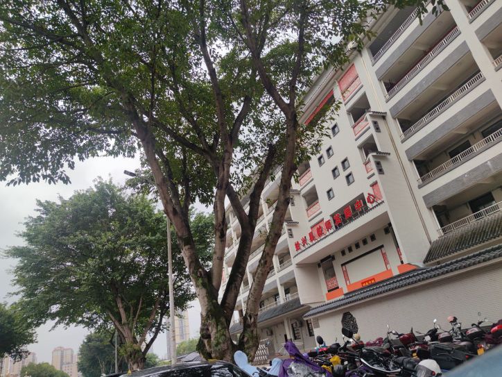 始兴县教师发展中心