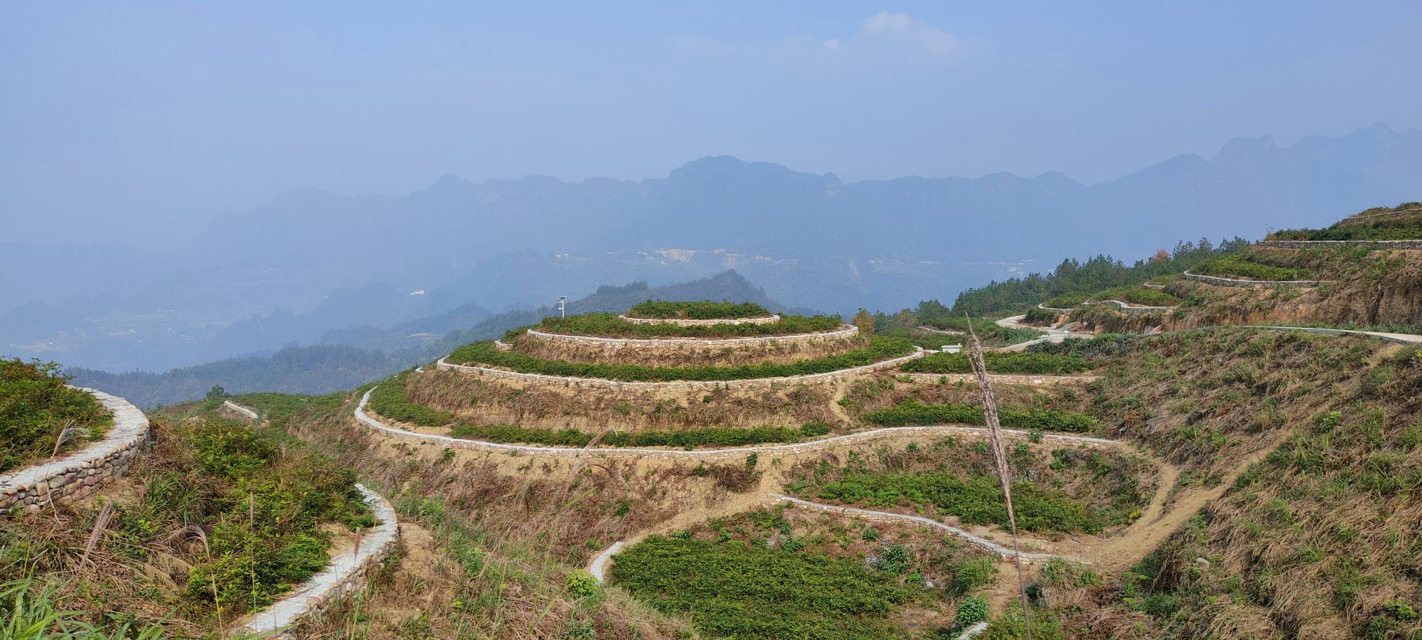 白马镇山天门郡莓茶主题公园