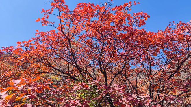 庄子岭经区