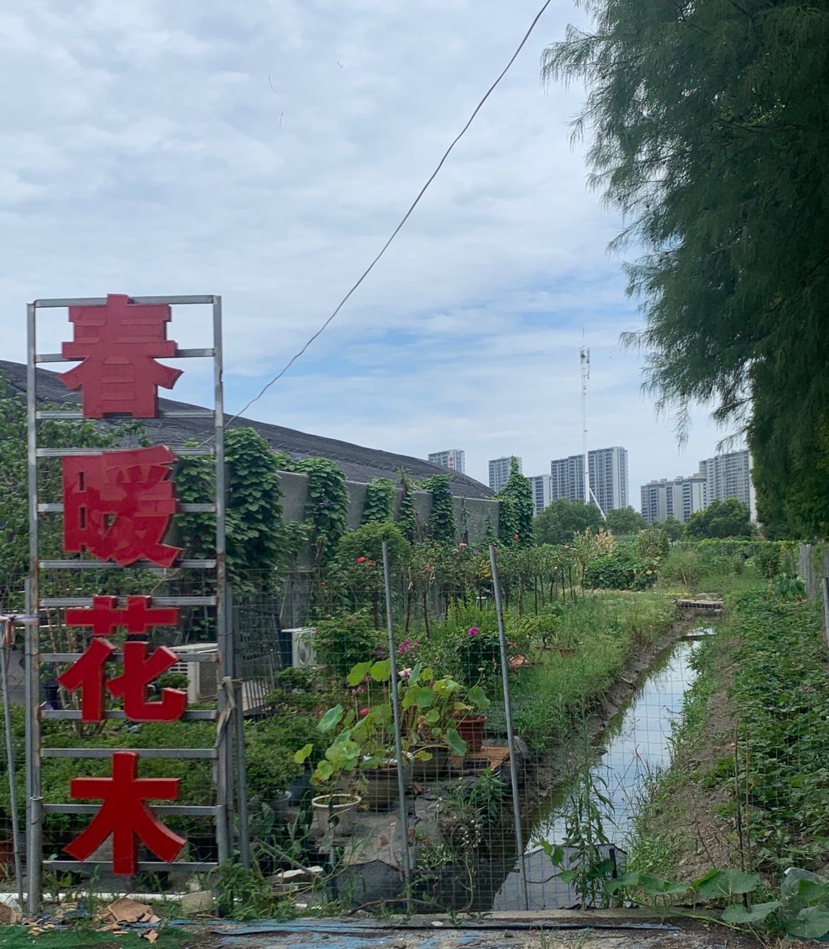 春暖花木基地