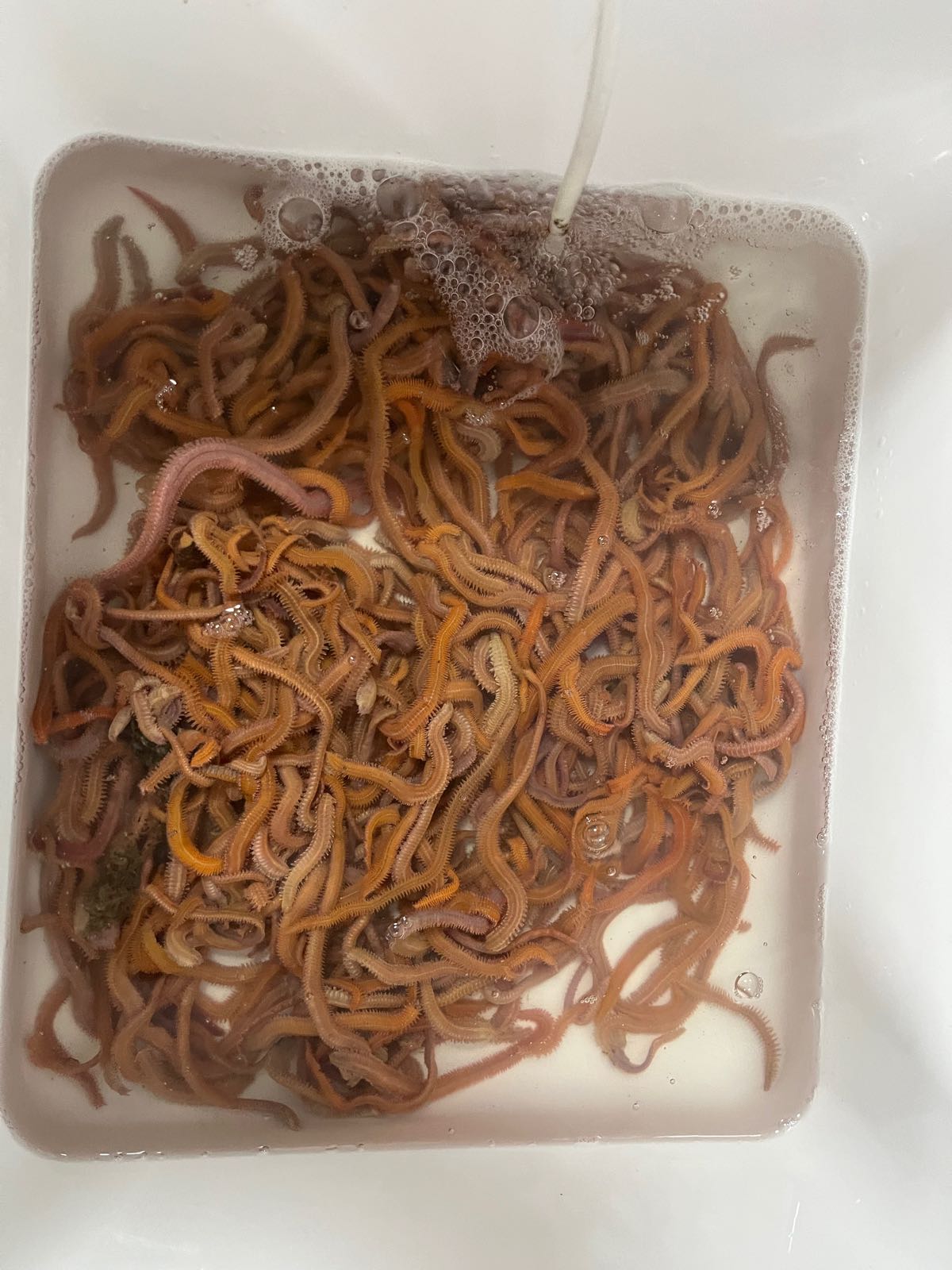 爱尚渔具店