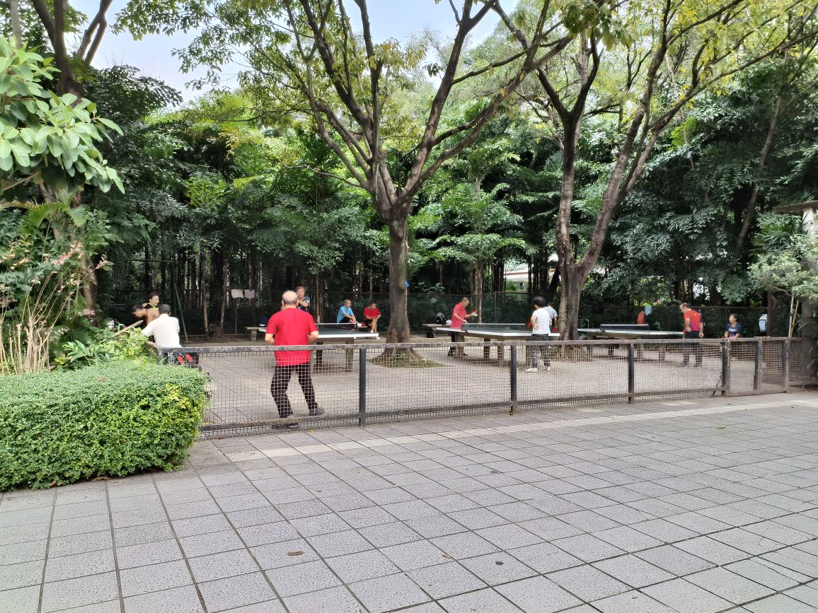 秀越公园-室外乒乓球场