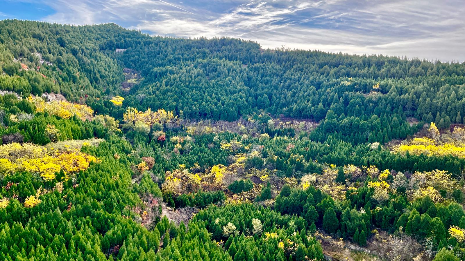 王八脖子山