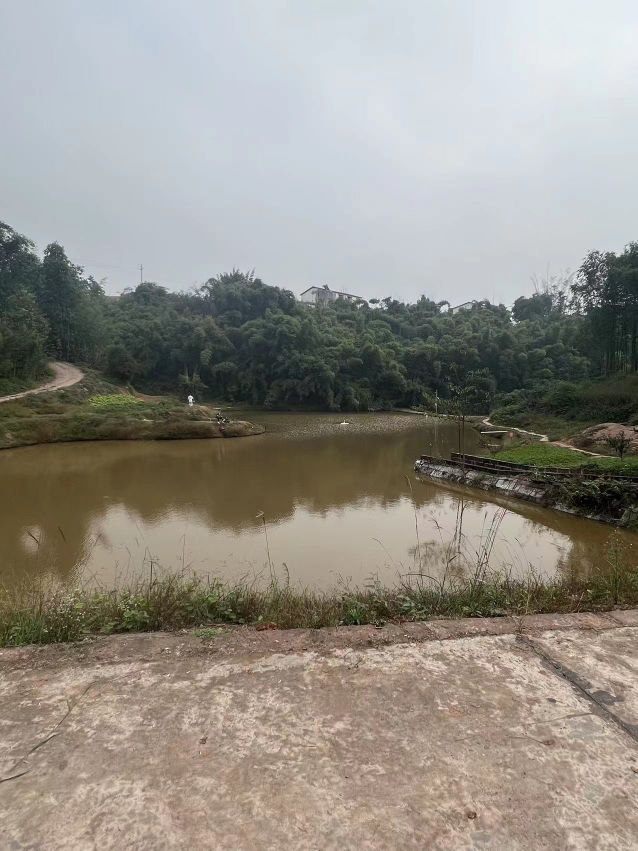 蓝天垂钓基地