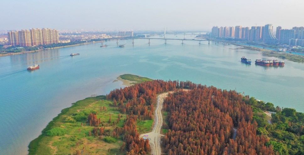 环人才岛公园碧道